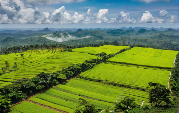가봉 알리 봉고 온딤바 대통령 - "Gabon's Day of Liberation: Public Celebration of the Coup"**

A dynamic and emotionally charged pho...