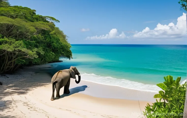 가봉의 우기와 건기 - **Prompt:** A stunning, wide-angle photographic scene capturing Gabon's abundant wildlife during the...