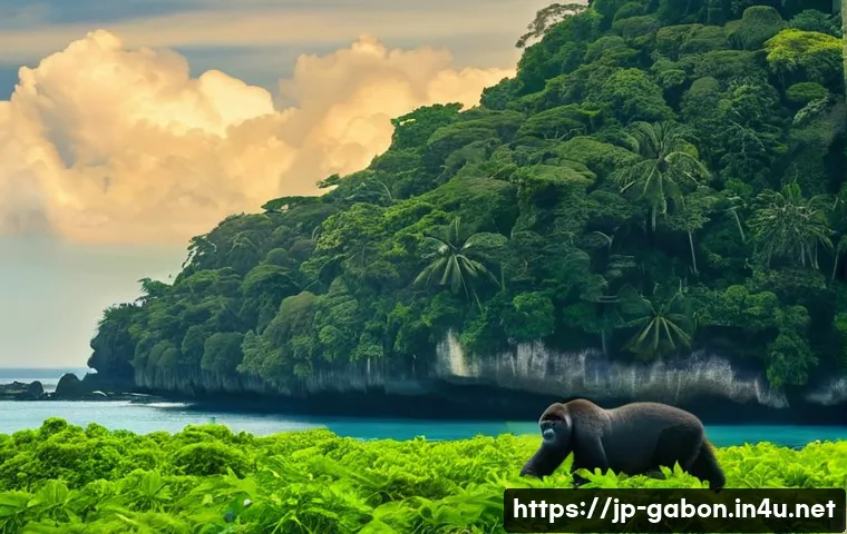 가봉 입국 비자 발급 절차 관련 이미지 2